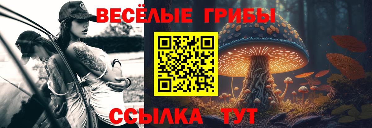 Галлюциногенные грибы MAGIC MUSHROOMS  Вход с VPN  Псилоцибиновые грибы Cubensis  Долгопрудный 